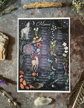Load image into Gallery viewer, Moon names, nature print, moon illustration