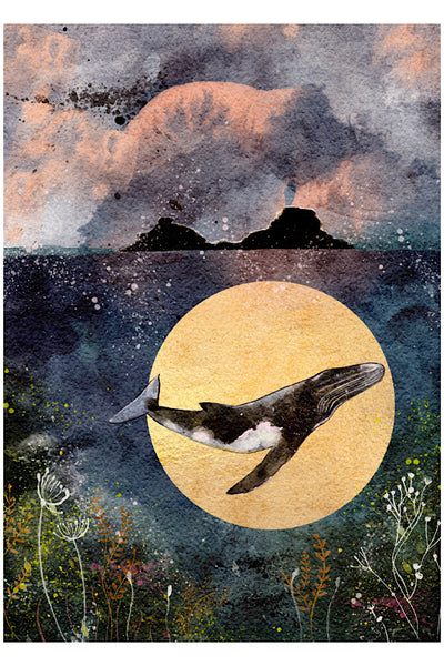 Whale prints coming soon