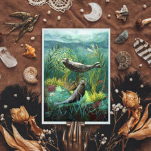 Load image into Gallery viewer, Seal illustration - seal print - ocean lover
