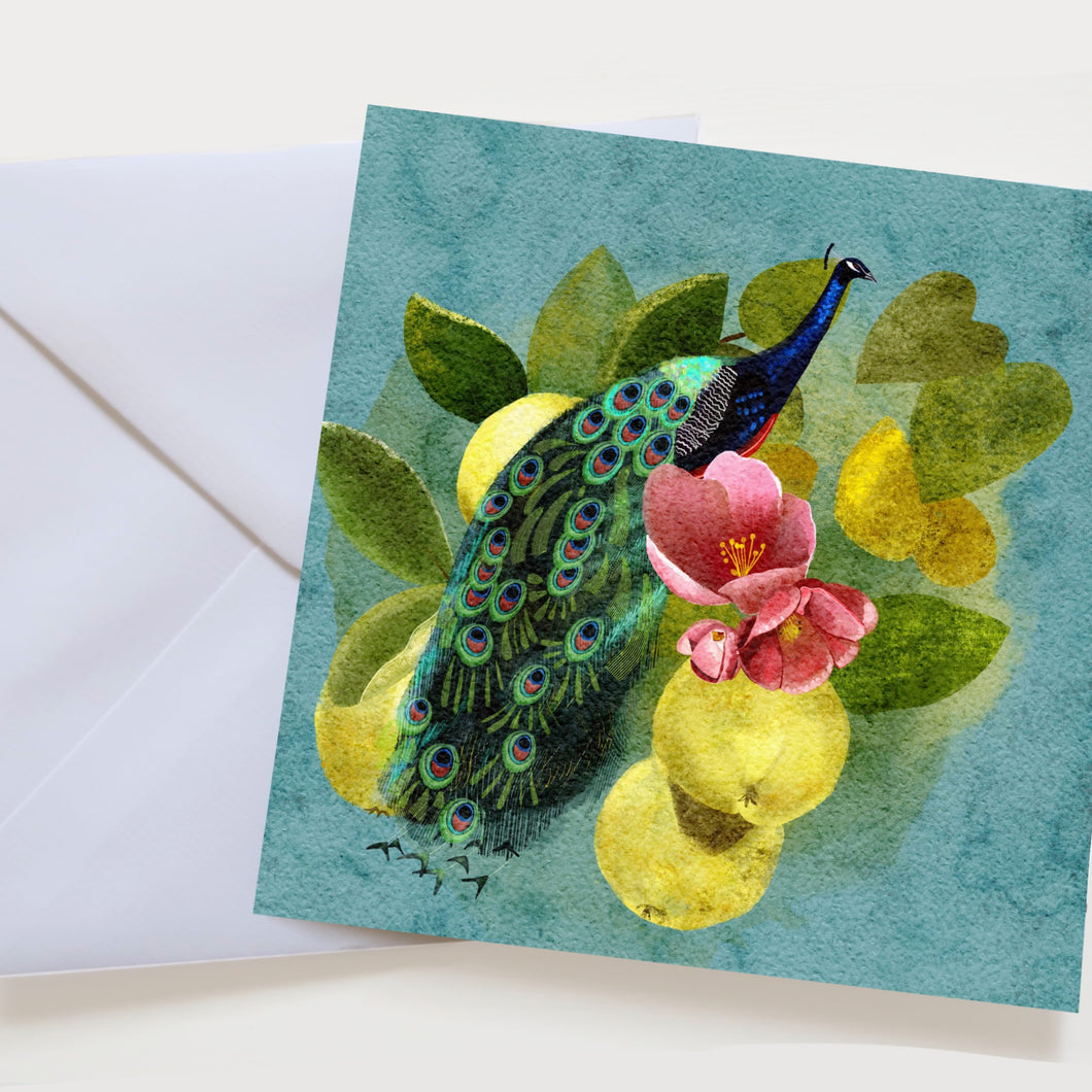 A beautiful peacock surrounded by leaves and quince