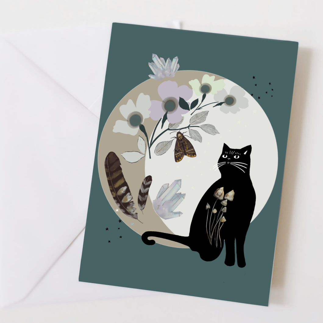 A black cat in front of a moon with crystals and a moth